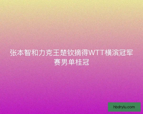 张本智和力克王楚钦摘得WTT横滨冠军赛男单桂冠